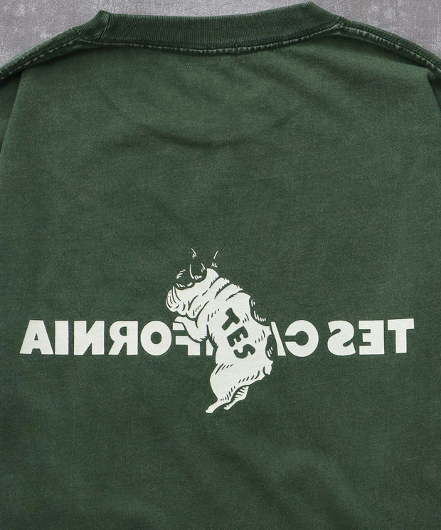 《10月下旬お届け予定》TES CALIFORNIA LOGO PIGMENT LONG SLEEVE BIG T-SHIRT / ロンT