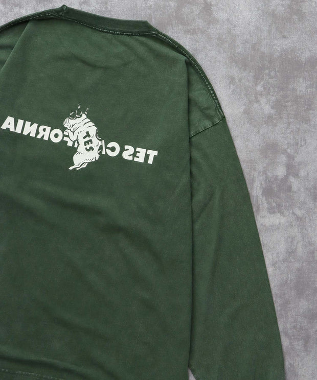 《10月下旬お届け予定》TES CALIFORNIA LOGO PIGMENT LONG SLEEVE BIG T-SHIRT / ロンT