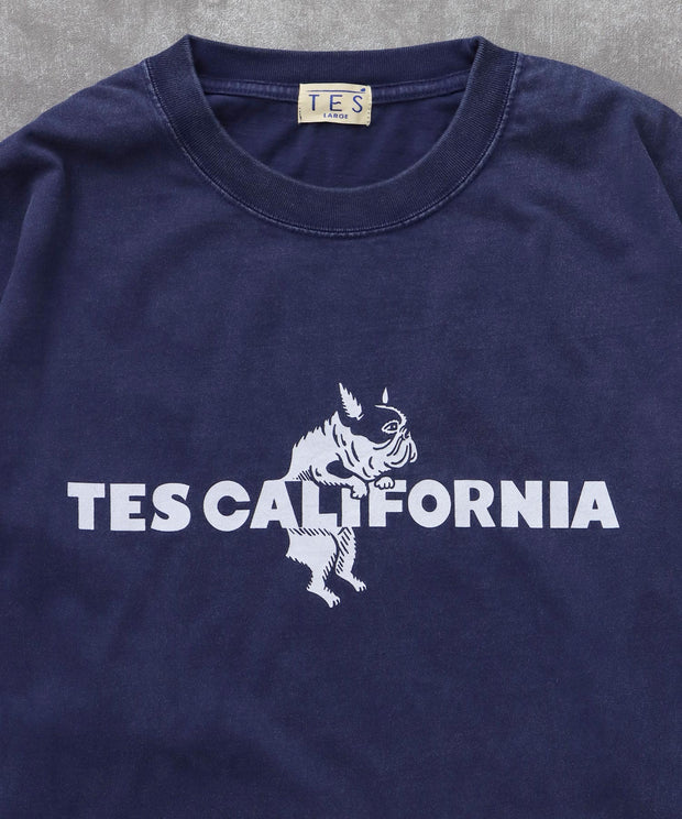 《10月下旬お届け予定》TES CALIFORNIA LOGO PIGMENT LONG SLEEVE BIG T-SHIRT / ロンT