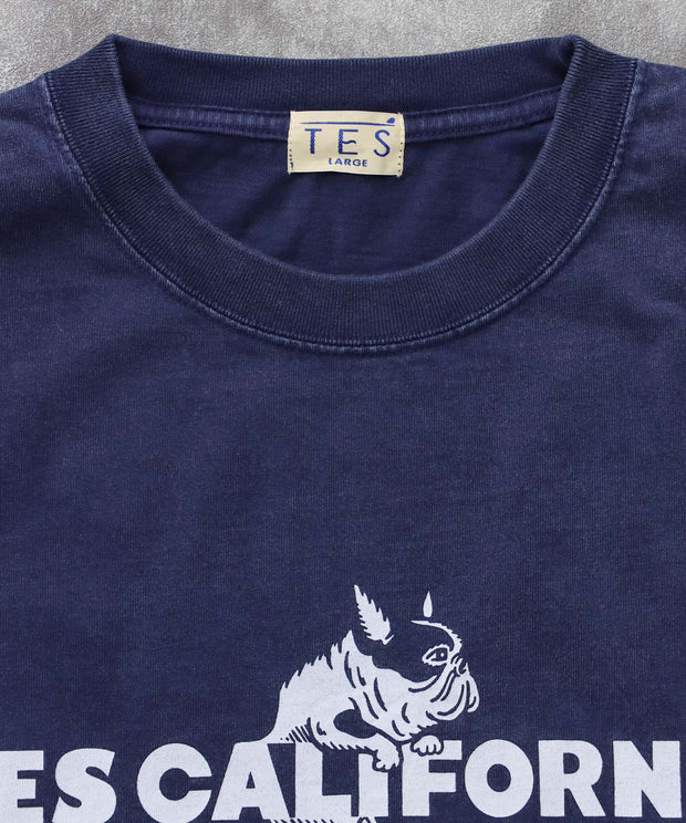 《10月下旬お届け予定》TES CALIFORNIA LOGO PIGMENT LONG SLEEVE BIG T-SHIRT / ロンT