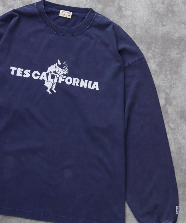 《10月下旬お届け予定》TES CALIFORNIA LOGO PIGMENT LONG SLEEVE BIG T-SHIRT / ロンT