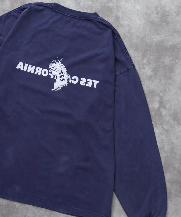 《10月下旬お届け予定》TES CALIFORNIA LOGO PIGMENT LONG SLEEVE BIG T-SHIRT / ロンT