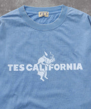 《10月下旬お届け予定》TES CALIFORNIA LOGO PIGMENT LONG SLEEVE BIG T-SHIRT / ロンT