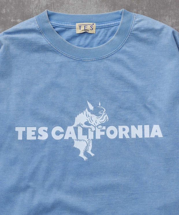 《10月下旬お届け予定》TES CALIFORNIA LOGO PIGMENT LONG SLEEVE BIG T-SHIRT / ロンT