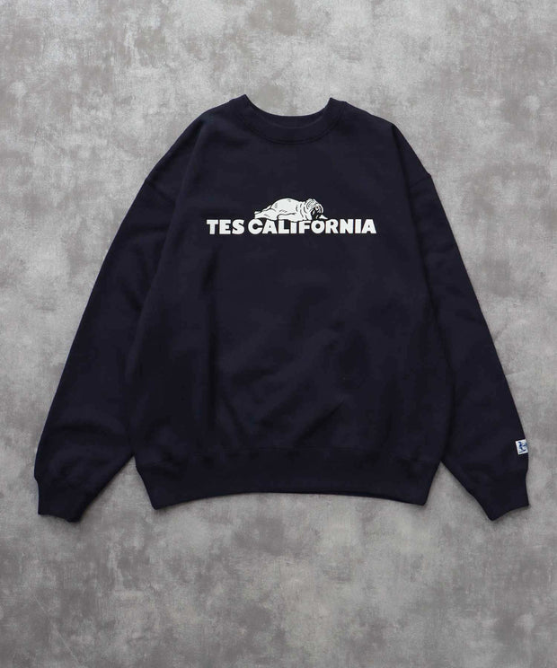 《10月下旬お届け予定》TES SAME OLD CN SWEAT / クルーネックスウェット