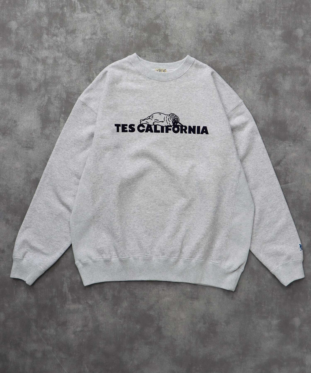 TES SAME OLD CN SWEAT / クルーネックスウェット – TES | THE
