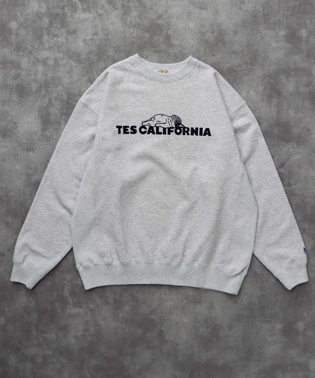 《10月下旬お届け予定》TES SAME OLD CN SWEAT / クルーネックスウェット
