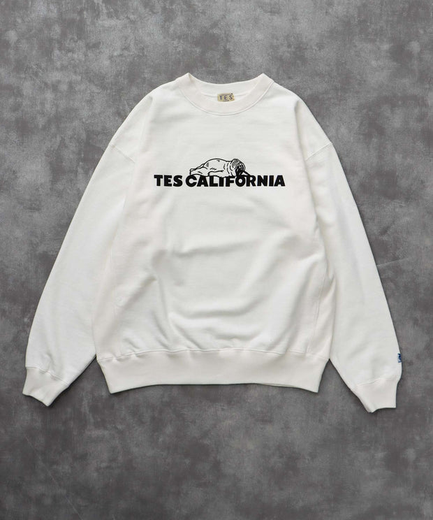 《10月下旬お届け予定》TES SAME OLD CN SWEAT / クルーネックスウェット
