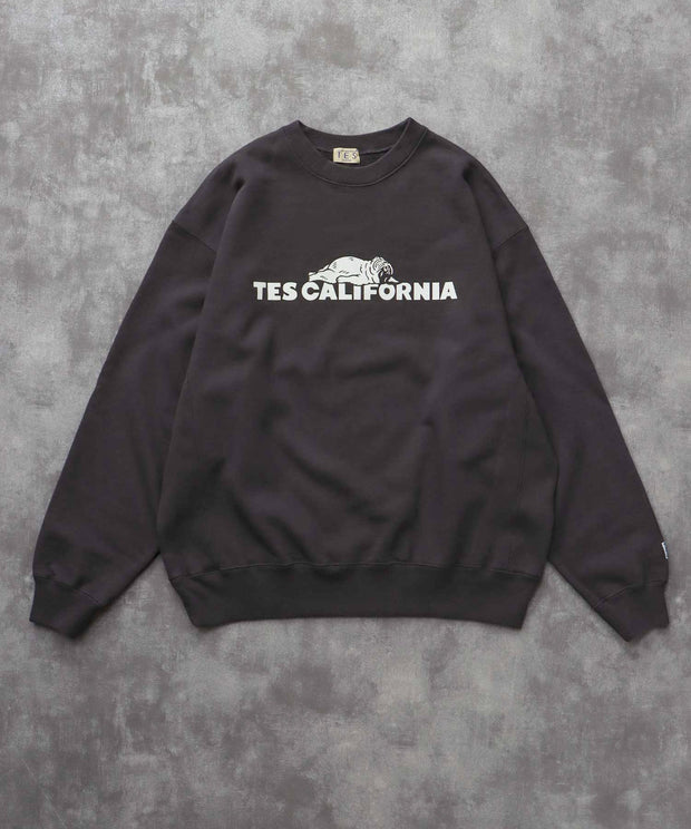 《10月下旬お届け予定》TES SAME OLD CN SWEAT / クルーネックスウェット