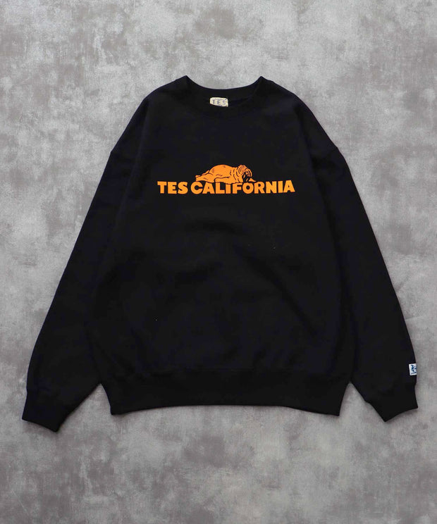 《10月下旬お届け予定》TES SAME OLD CN SWEAT / クルーネックスウェット