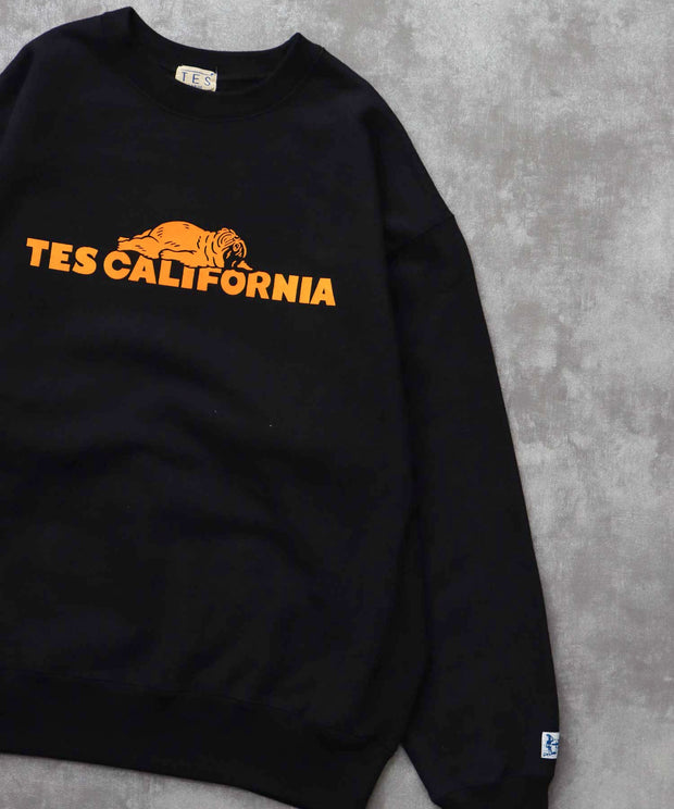 《10月下旬お届け予定》TES SAME OLD CN SWEAT / クルーネックスウェット