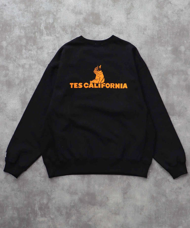 《10月下旬お届け予定》TES SAME OLD CN SWEAT / クルーネックスウェット