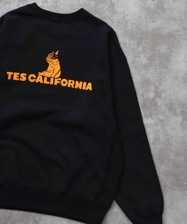 《10月下旬お届け予定》TES SAME OLD CN SWEAT / クルーネックスウェット