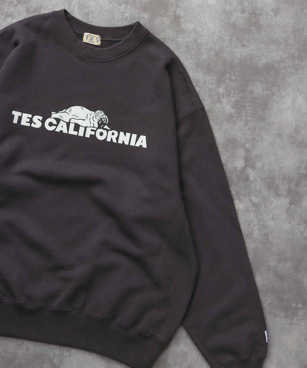 《10月下旬お届け予定》TES SAME OLD CN SWEAT / クルーネックスウェット