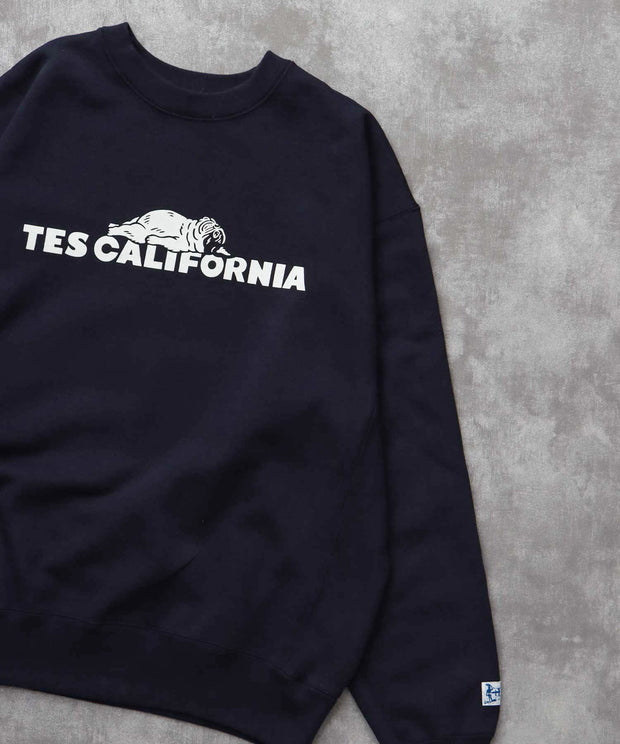 《10月下旬お届け予定》TES SAME OLD CN SWEAT / クルーネックスウェット
