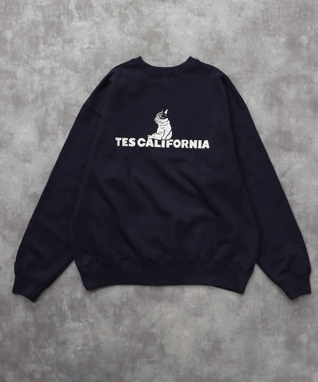 《10月下旬お届け予定》TES SAME OLD CN SWEAT / クルーネックスウェット