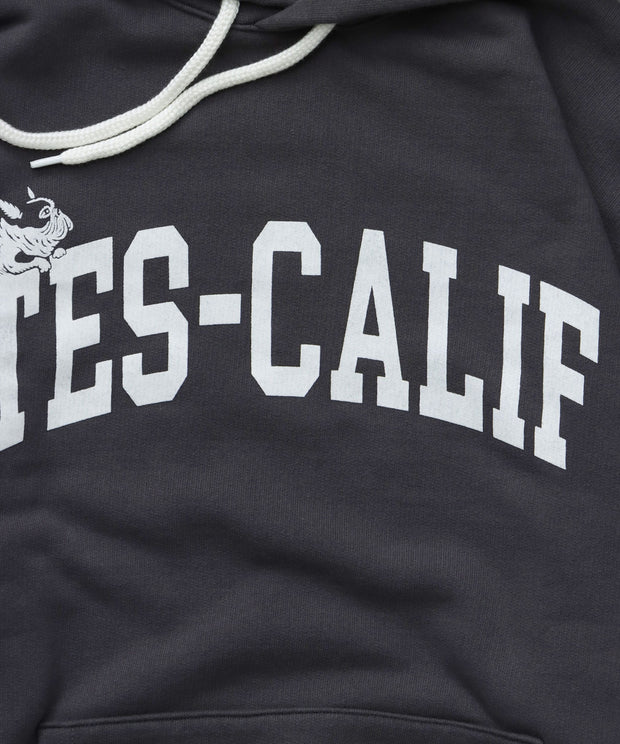 《10月下旬お届け予定》TES COLLEGE SWEAT PARKA / スウェットパーカー