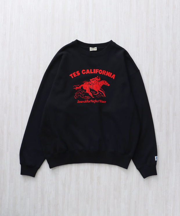 TES 2026 HORSE RIDE FLOCKY CN CN SWEAT / クルーネックスウェット