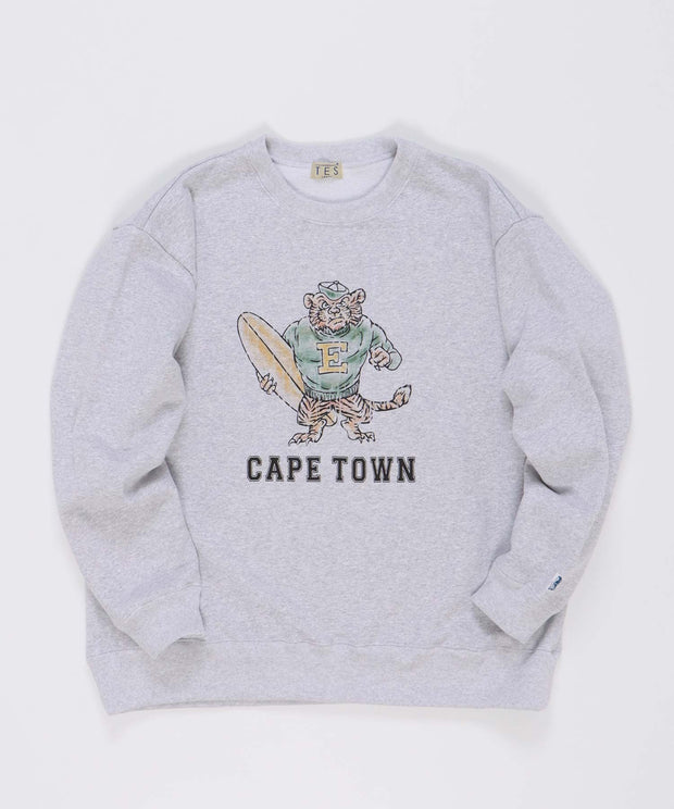 TES 60s VINTAGE SURF COLLEGE CREWNECK SWEAT / クルーネックスウェット