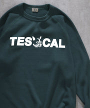 TES HEAVY THERMAL LOCAL LONG SLEEVE T-SHIRT / ロンT