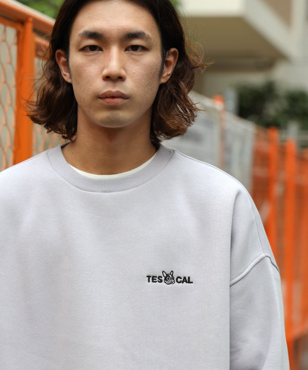 【WEB / FLAG SHOP限定】TES BIG SWEAT 1P EMB CREWNECK /オーバーサイズ・ビッグシルエット・スウェット