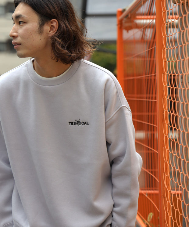 【WEB / FLAG SHOP限定】TES BIG SWEAT 1P EMB CREWNECK /オーバーサイズ・ビッグシルエット・スウェット