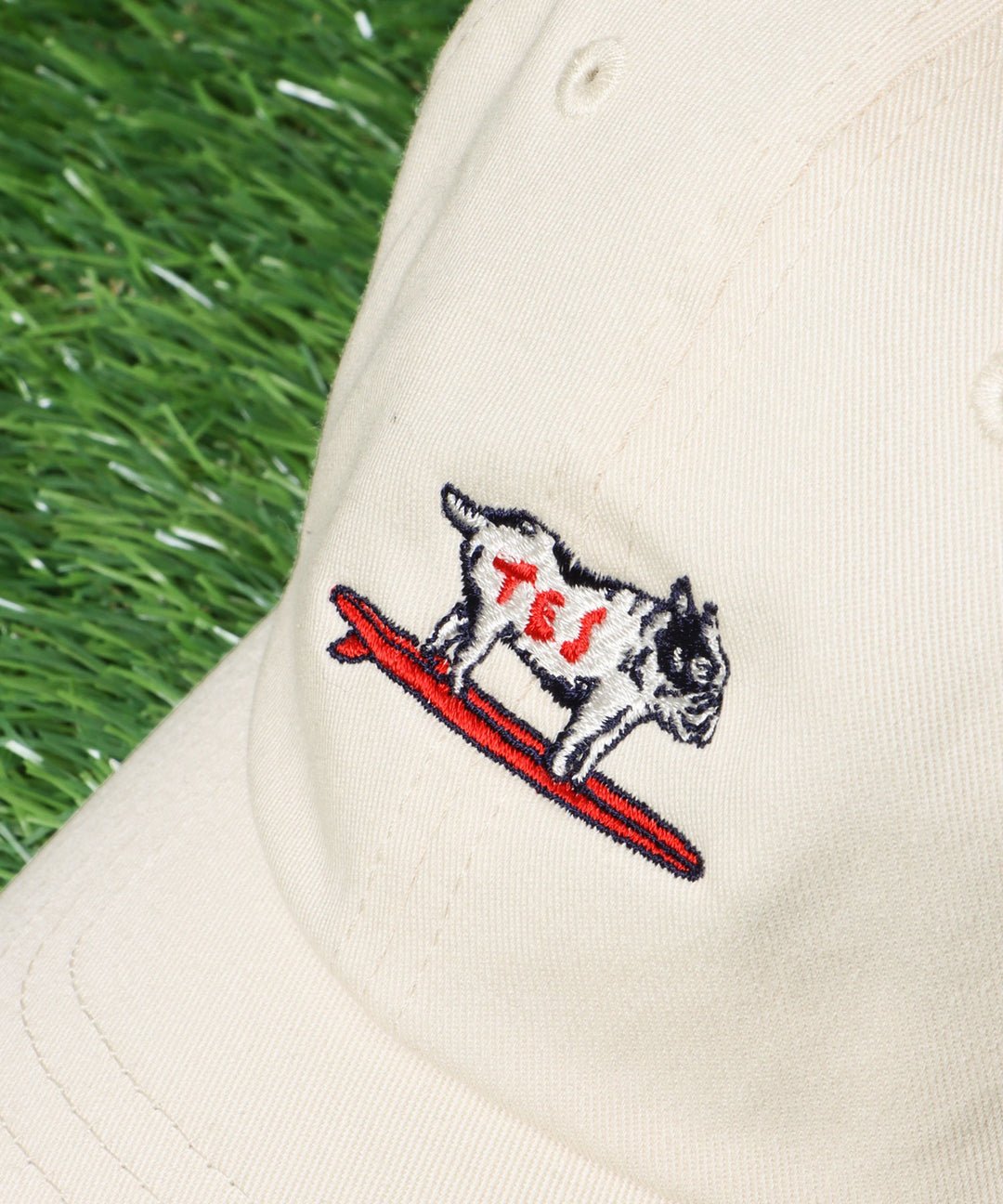 一部再入荷》[新カラー追加] TES HUNTINGTON LOW CAP / キャップ – TES